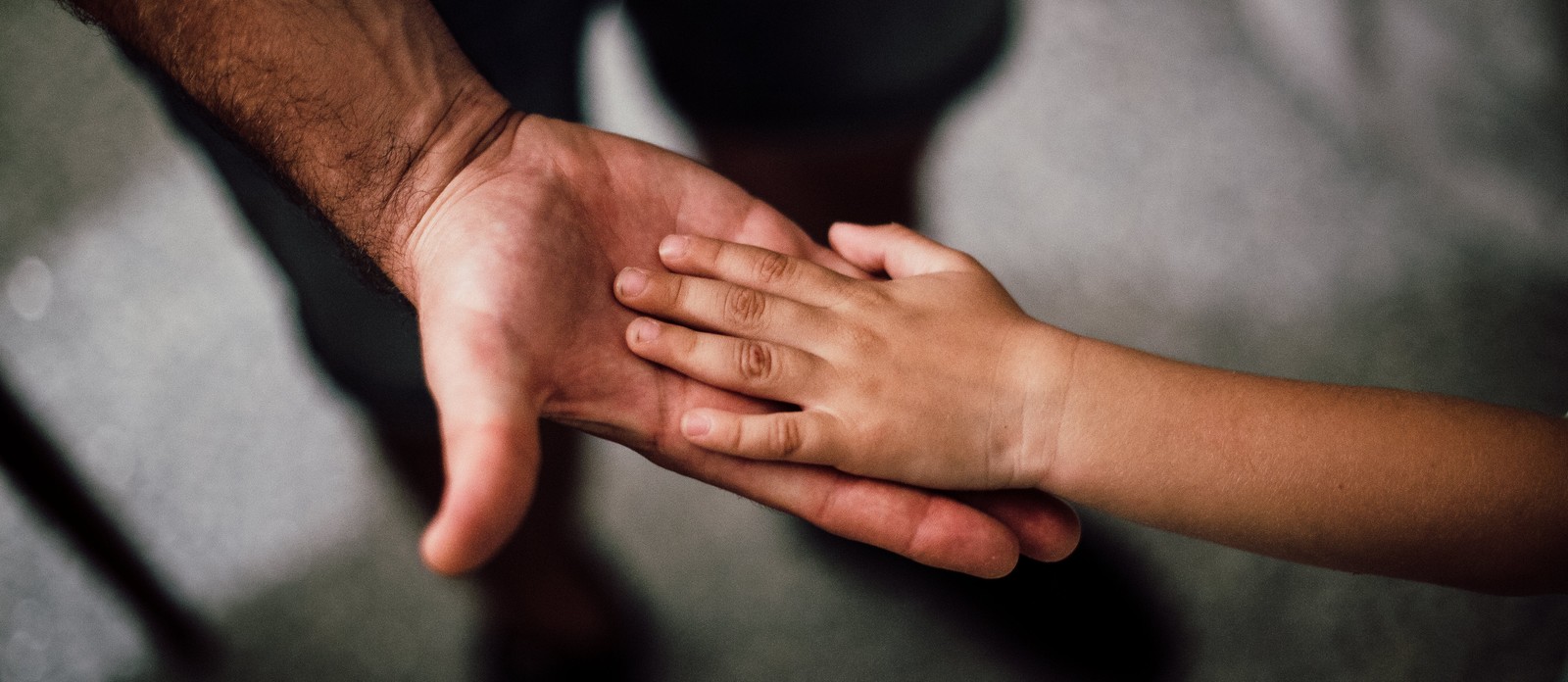 Who is credited with the line "Father, I cannot tell a lie"?