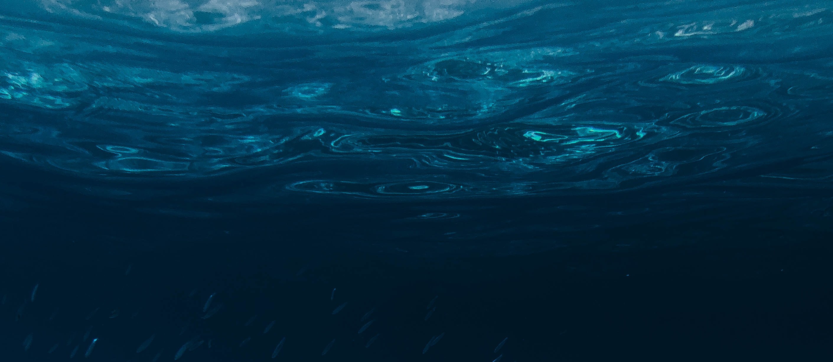 At what depth in the ocean does light disappear?