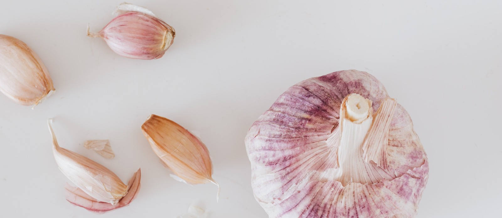 Garlic bulbs are divided into what?