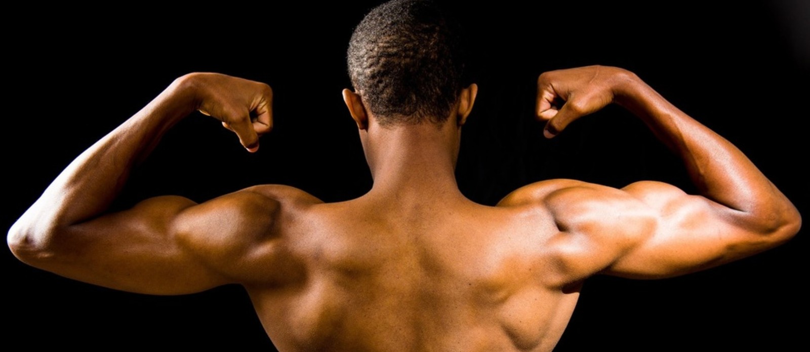 Which of these is a muscle?