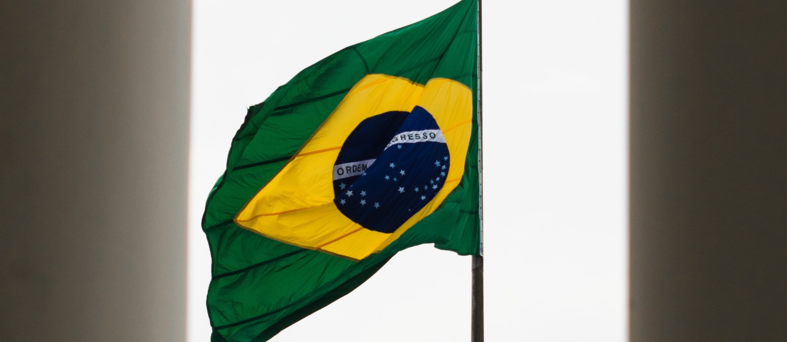 What is the national flower of Brazil?