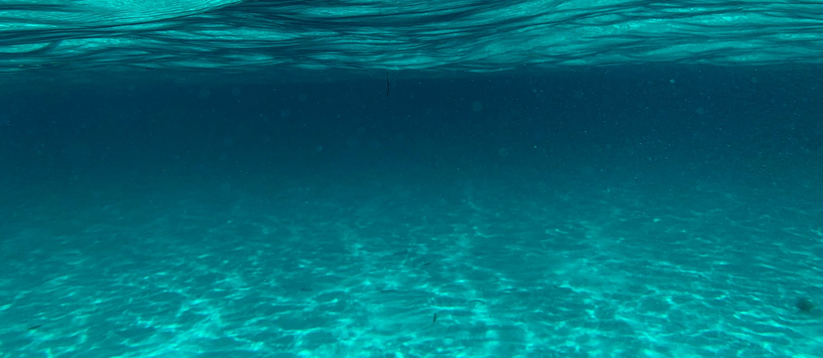 Why does sound move faster through water?