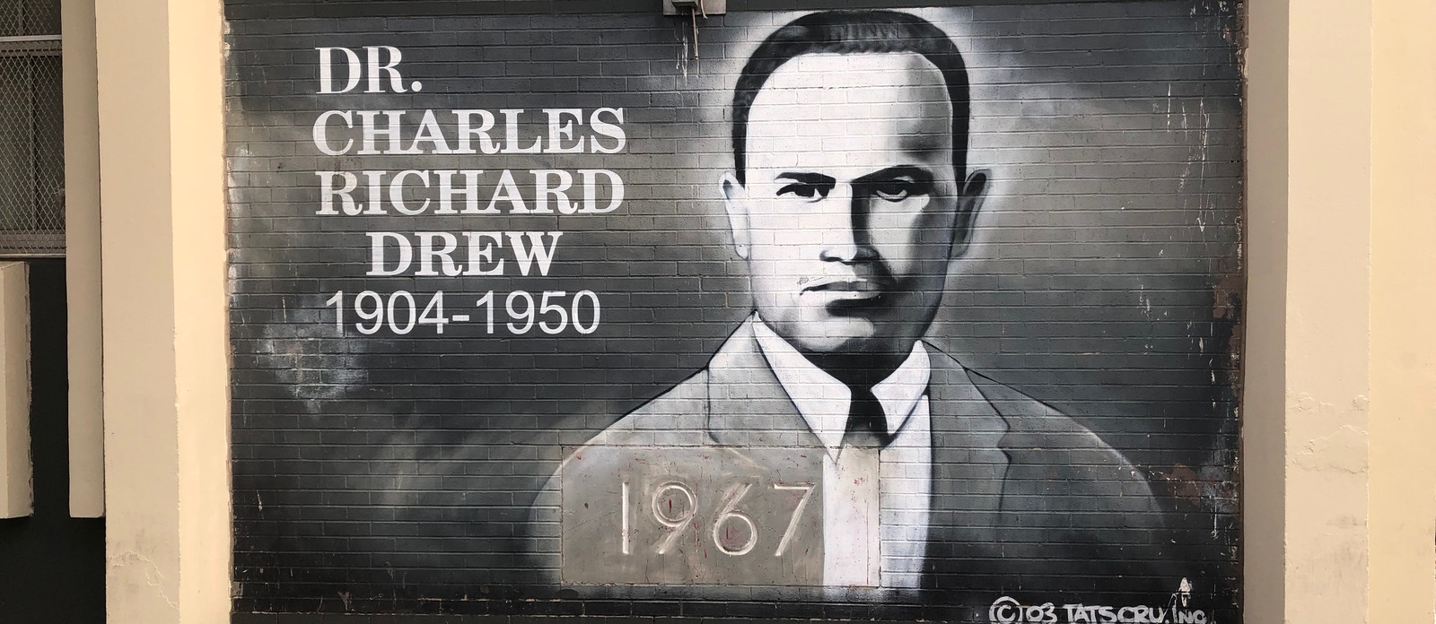 Charles Richard Drew invented which sort of bank?