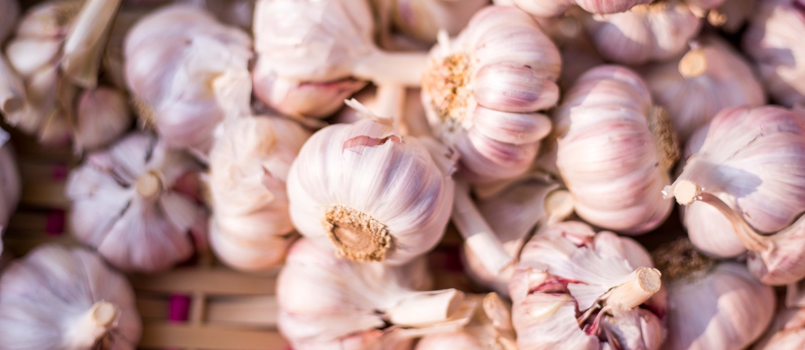 Which Californian city is the unofficial garlic capital of the world?