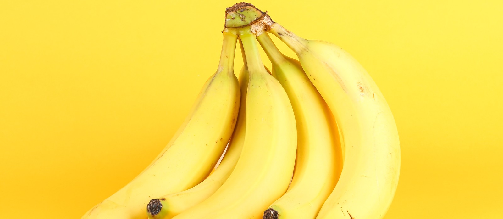 What is a cluster of bananas called?