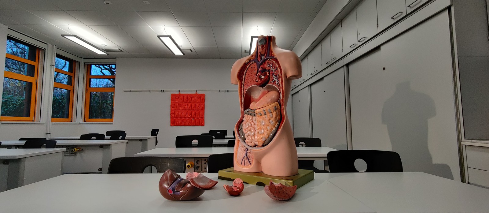 What is the medical term for stomach rumbling?