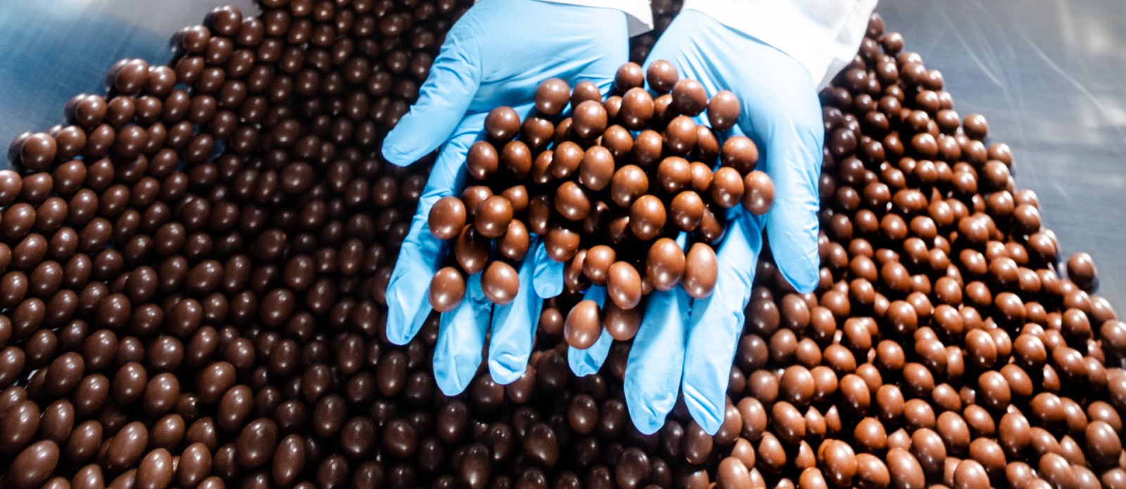 In which state did the first chocolate factory in the United States...