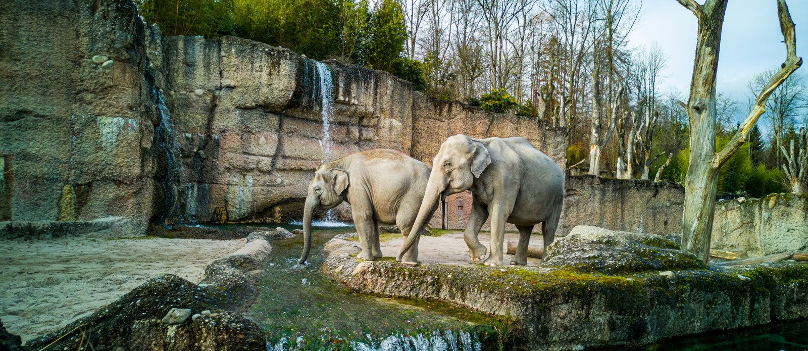In which city was the first zoo in the U.S.?