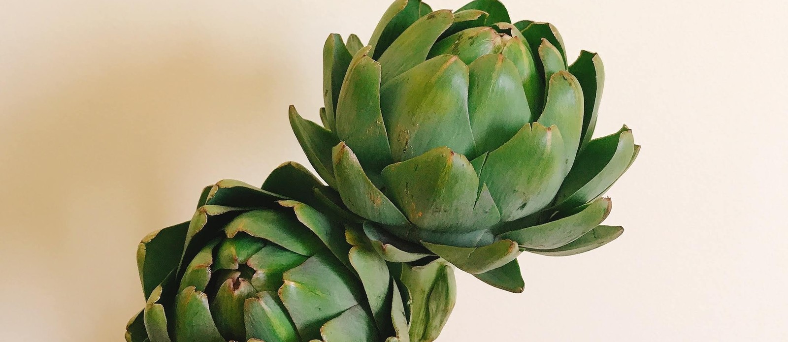In which location can you find the world's largest artichoke statue?