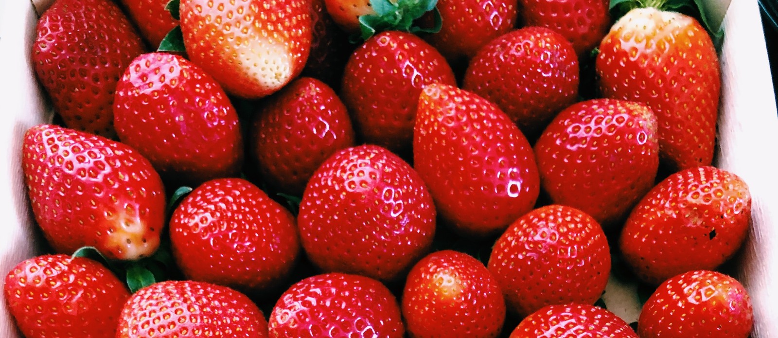 What state is the United States' largest strawberry producer?