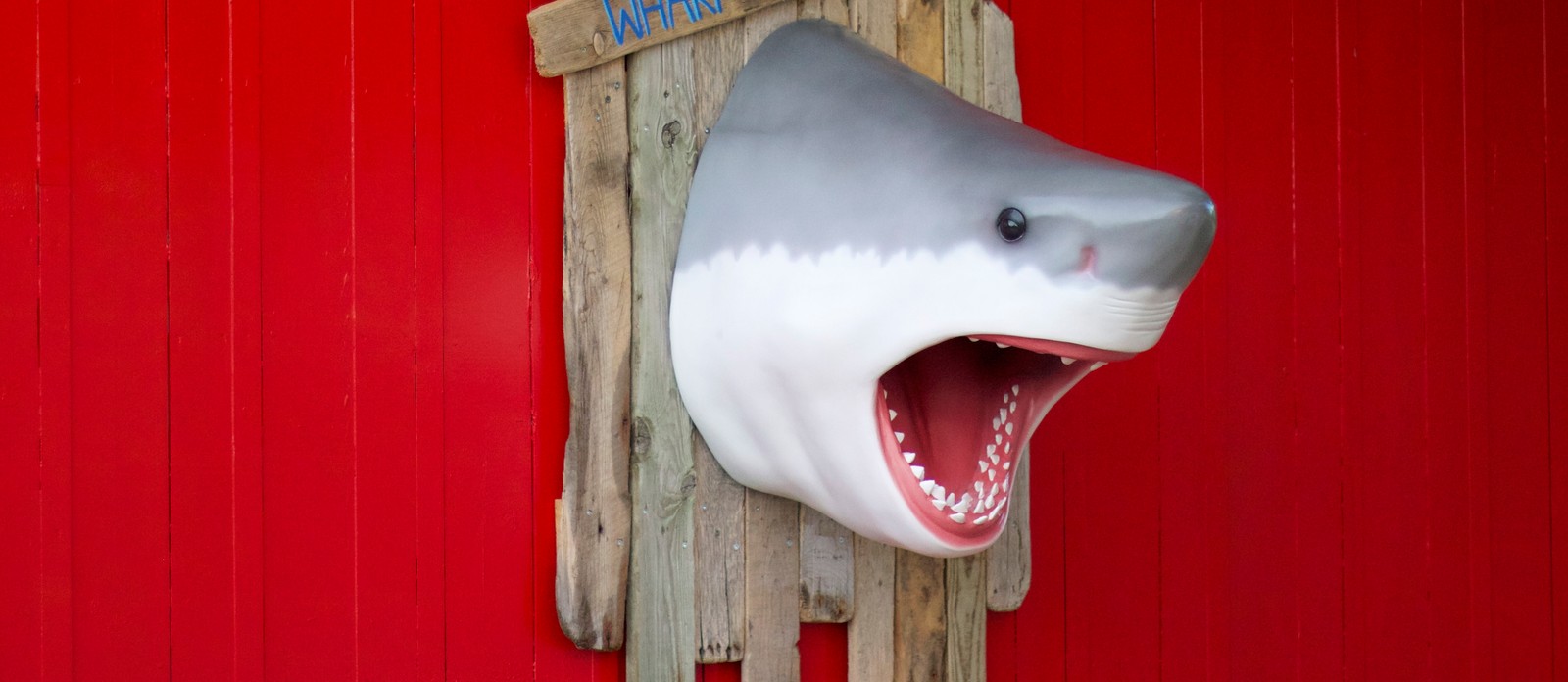 The film "Jaws" is based on a novel written by who?