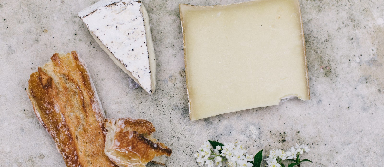 Pule cheese is made out of what animal's milk?